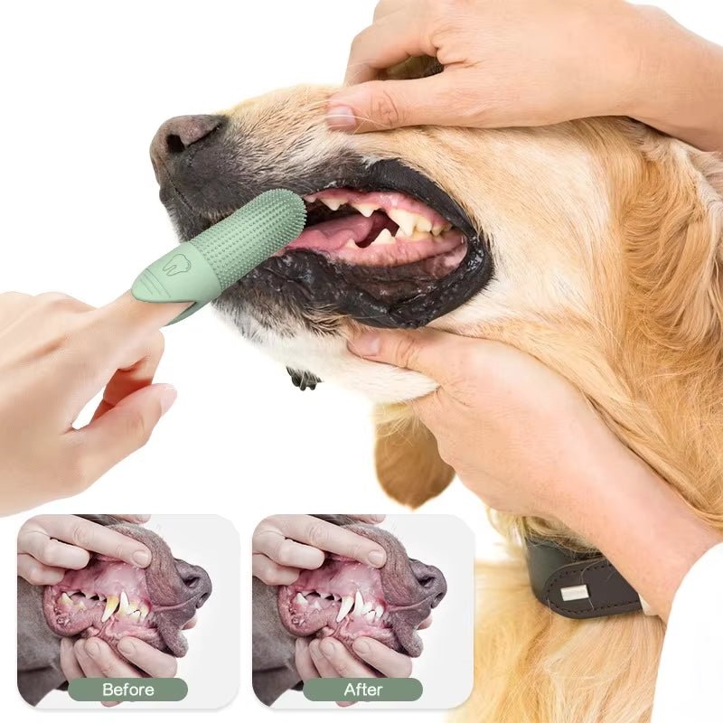 Hunde-Zahnbürste 360° – Silikon-Fingerzahnbürste für Hunde & Katzen