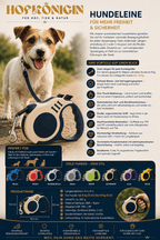 Retractable Dog Leash 3m/5m - Automatic Retractable Leash