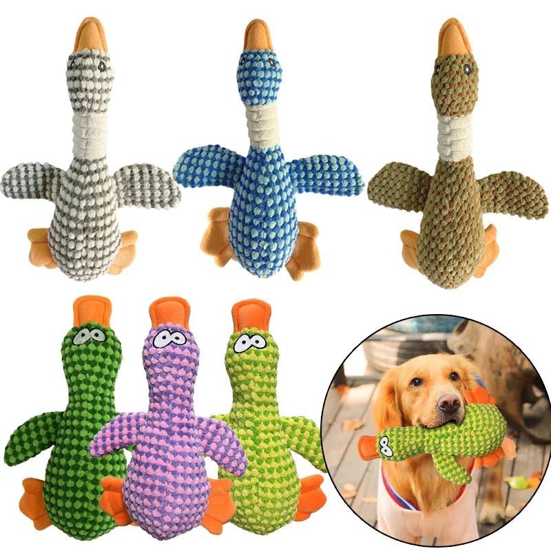 Plüsch-Quietschspielzeug für Hunde – Enten-Spielzeug zum Kauen & Zahnpflege